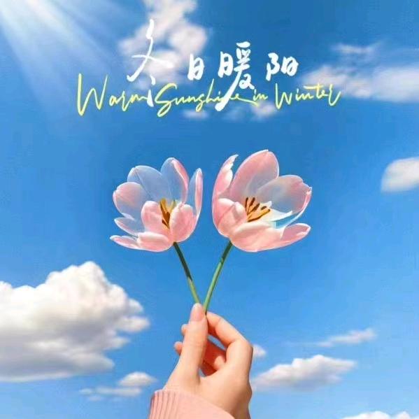 奶油兔