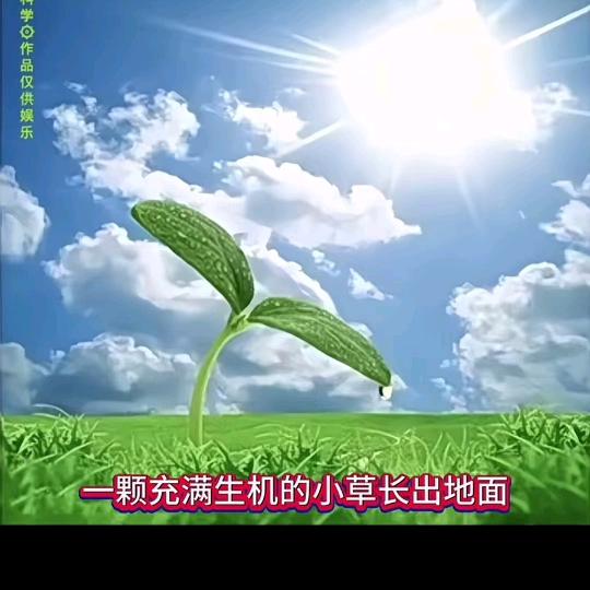 浅浅时光