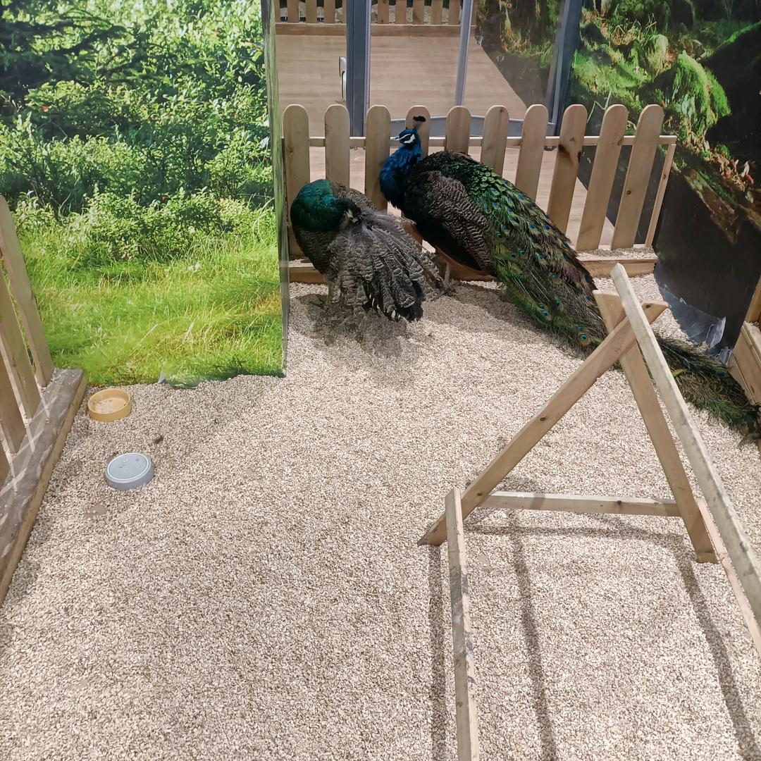 人生就是如此，，，，，