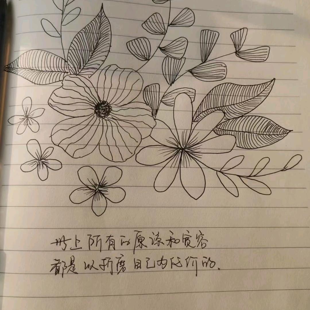 🕊️燕🕊️