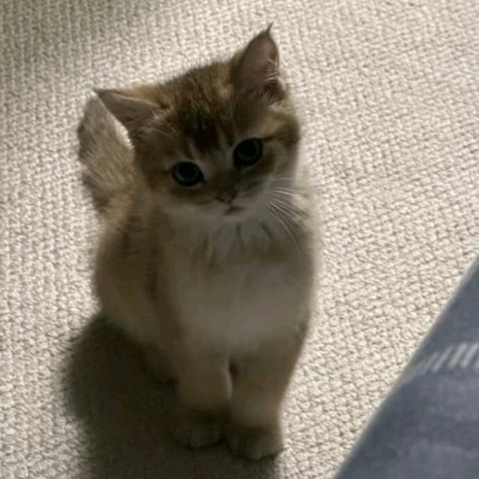 不想早起上早八