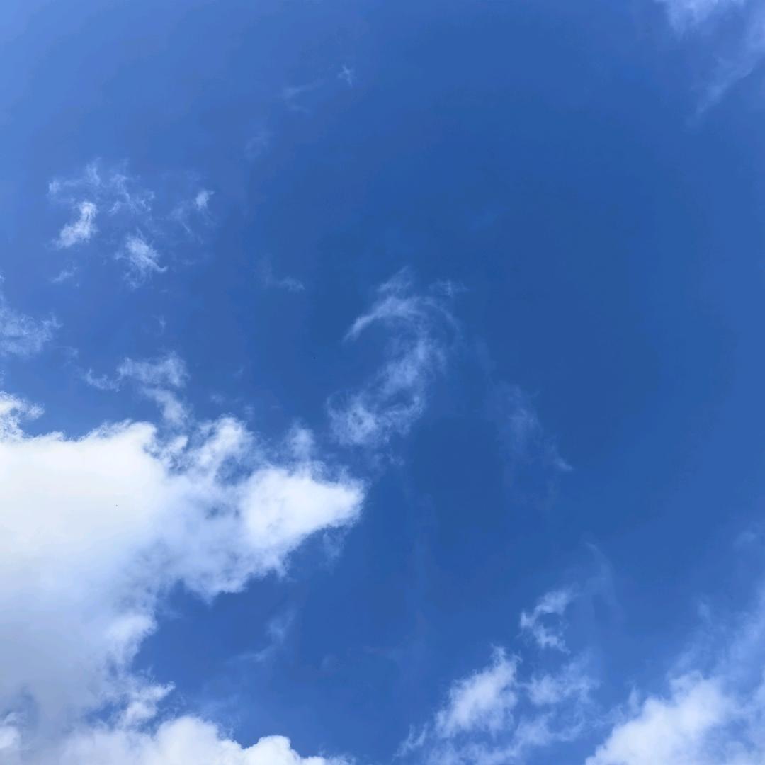 😔锤锤😪
