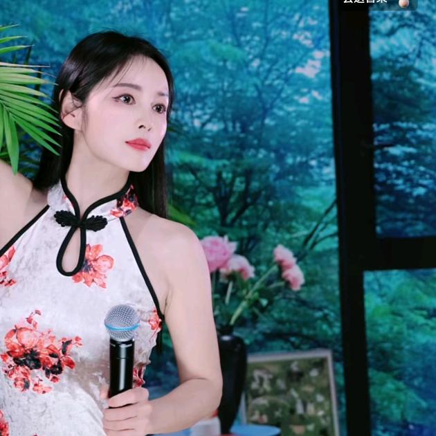 皮卡九（师傅黄毛小宝）