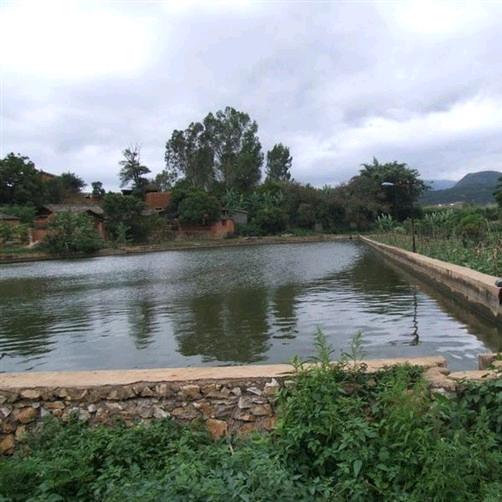 ✨小可可ෆᴗᰔᩚᥫᩣ⁵²³²