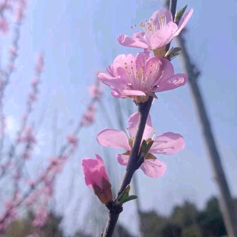 幸福快乐