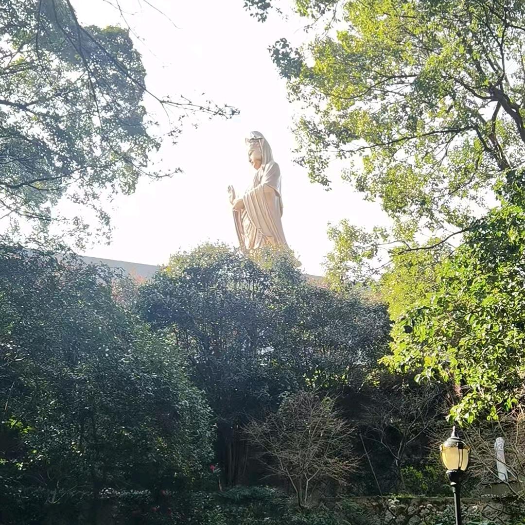 菲德妮服装有限公司