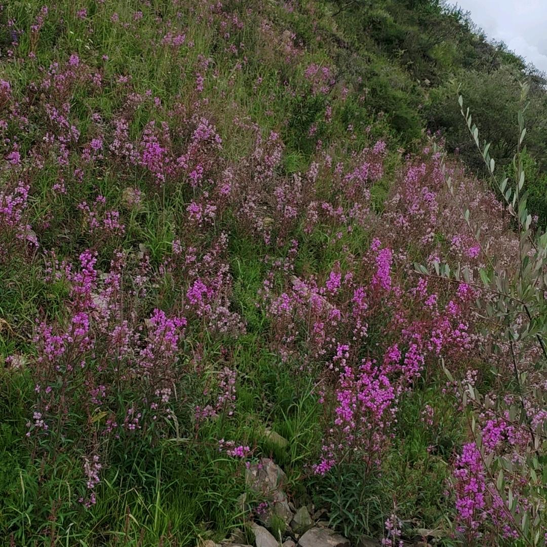 科目一基础理论