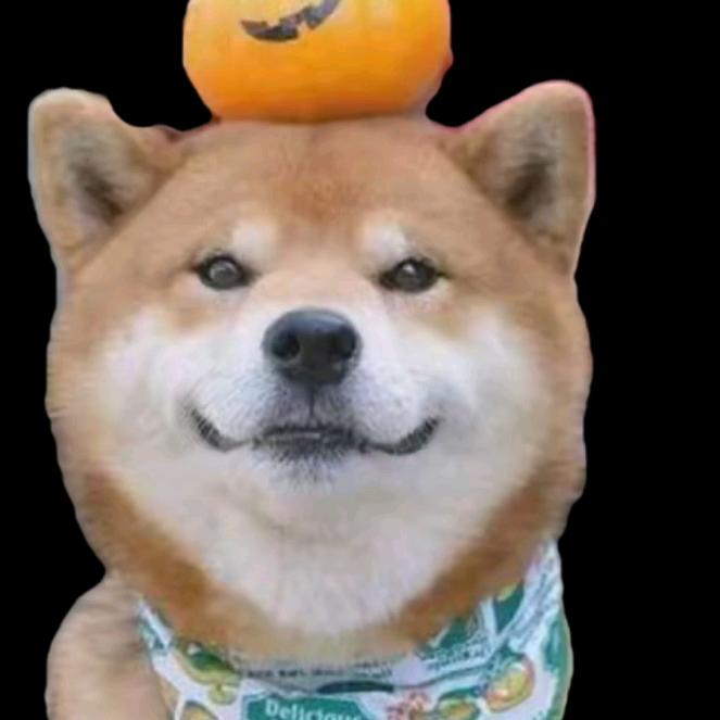 哈哈哈哈哈！