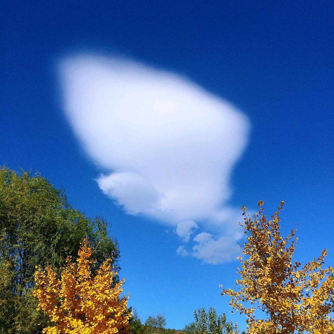 乐哥爱睡戈壁滩