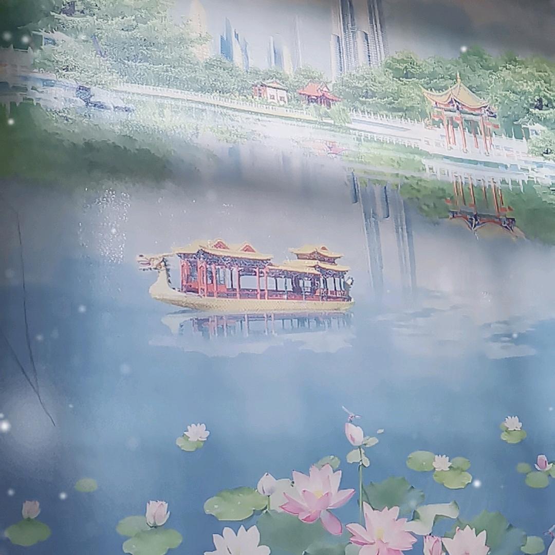 小飞哥