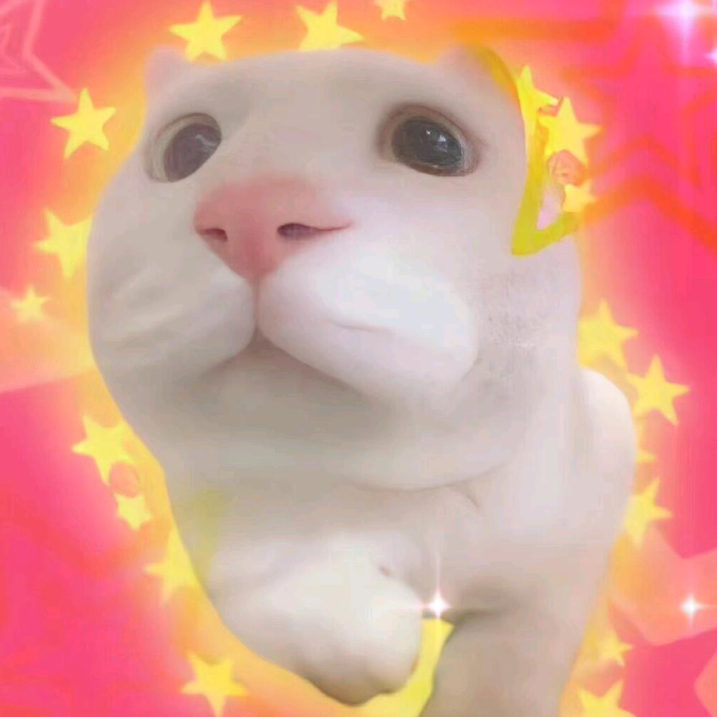 狂奔小野猪