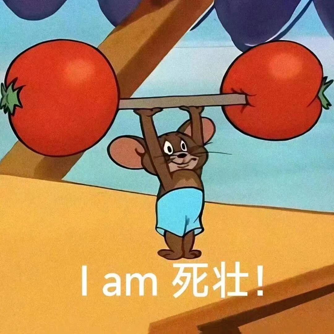 猫猫