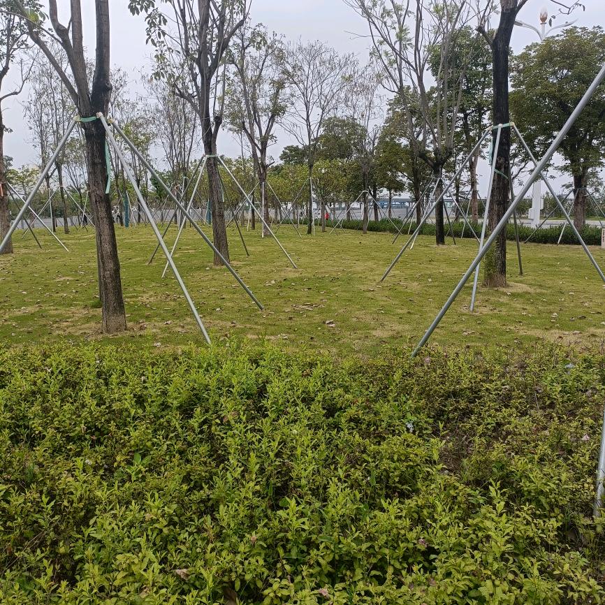 ⑧余生独自一个人@