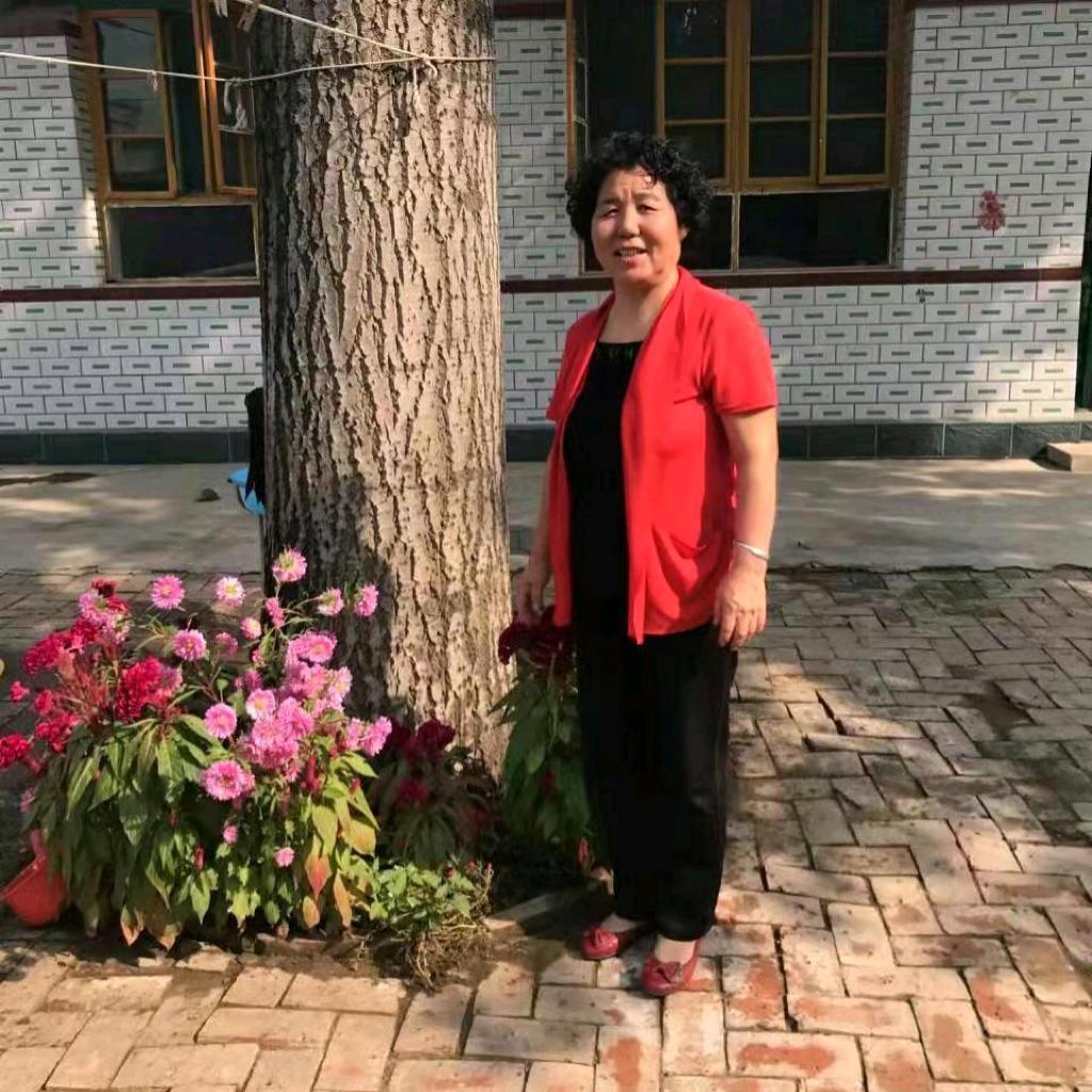杨老师