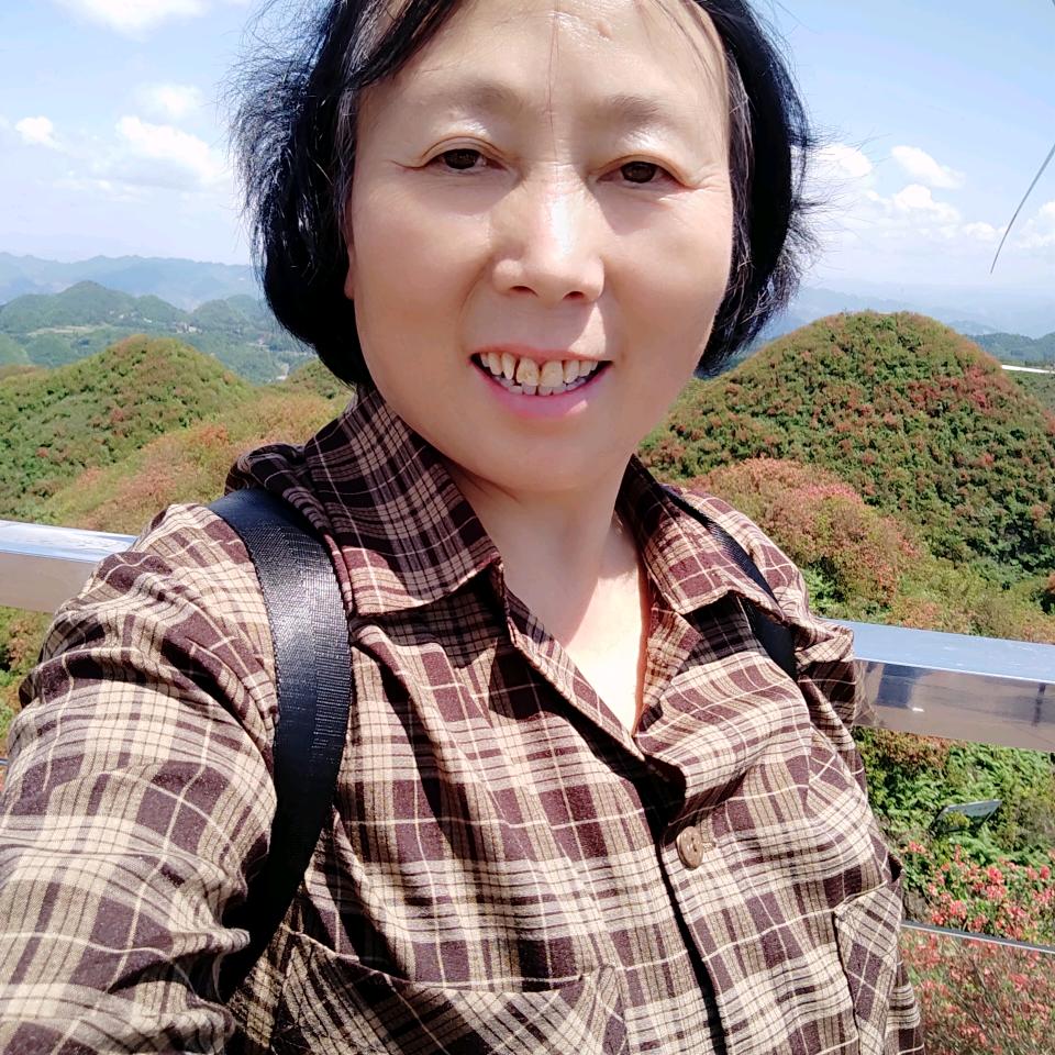 宋姐