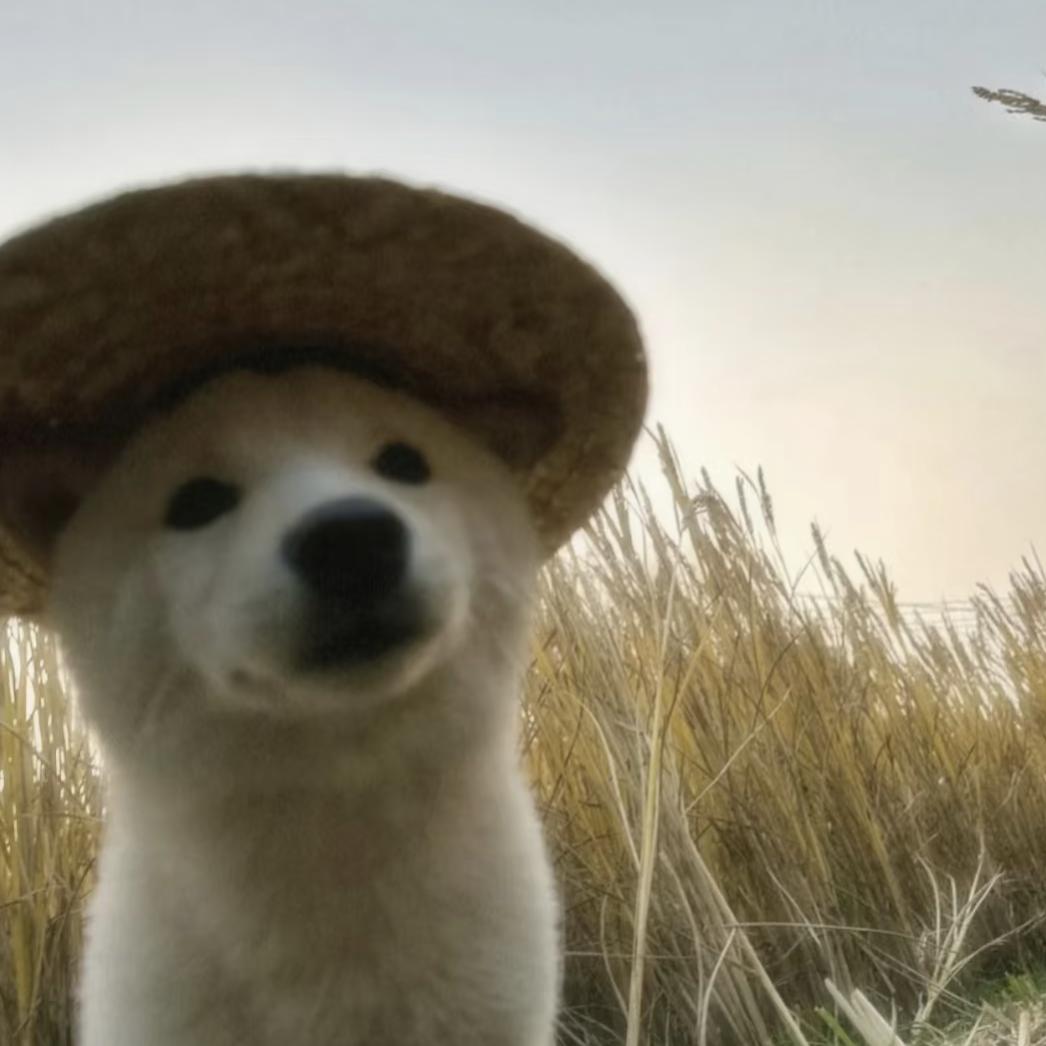 十三月在告别