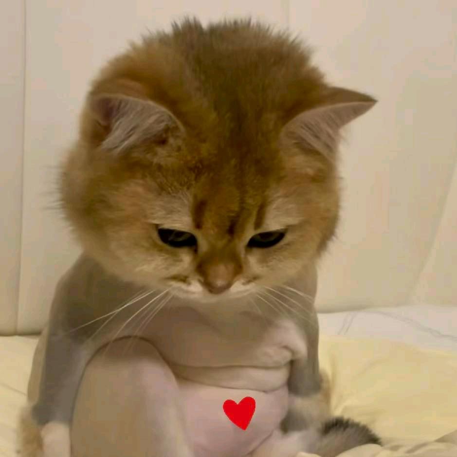 哦哈哈哈哈哈哈