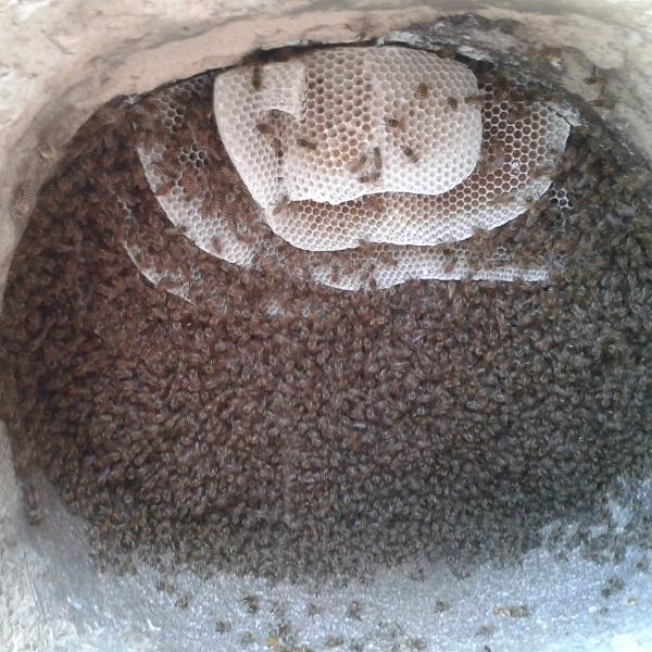 甜聚缘宝华营养食品专卖店