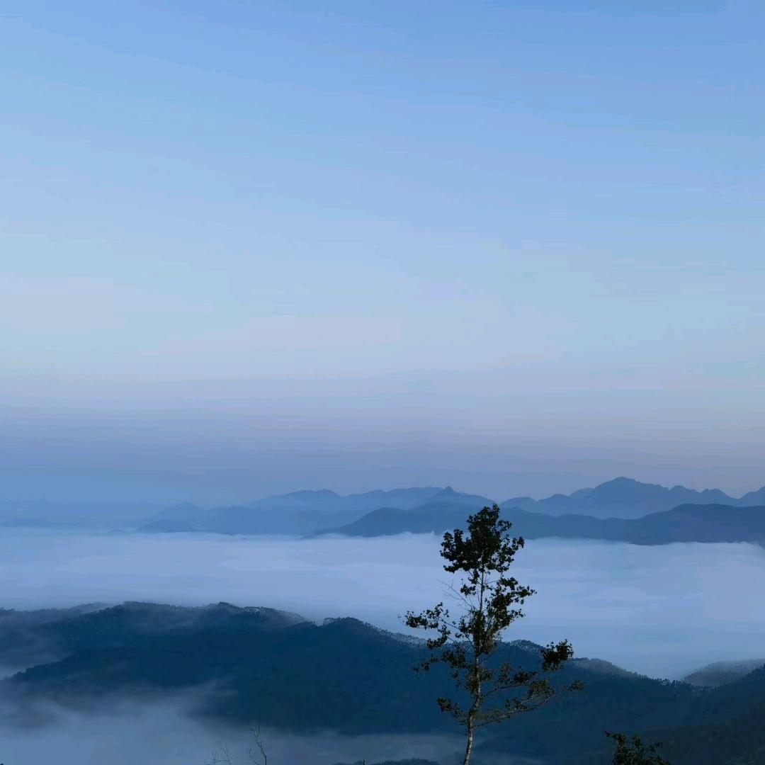 彪꧔ꦿ࿐้陈诺许给你💕 ❧⁵²⁰