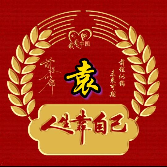 孤独游侠