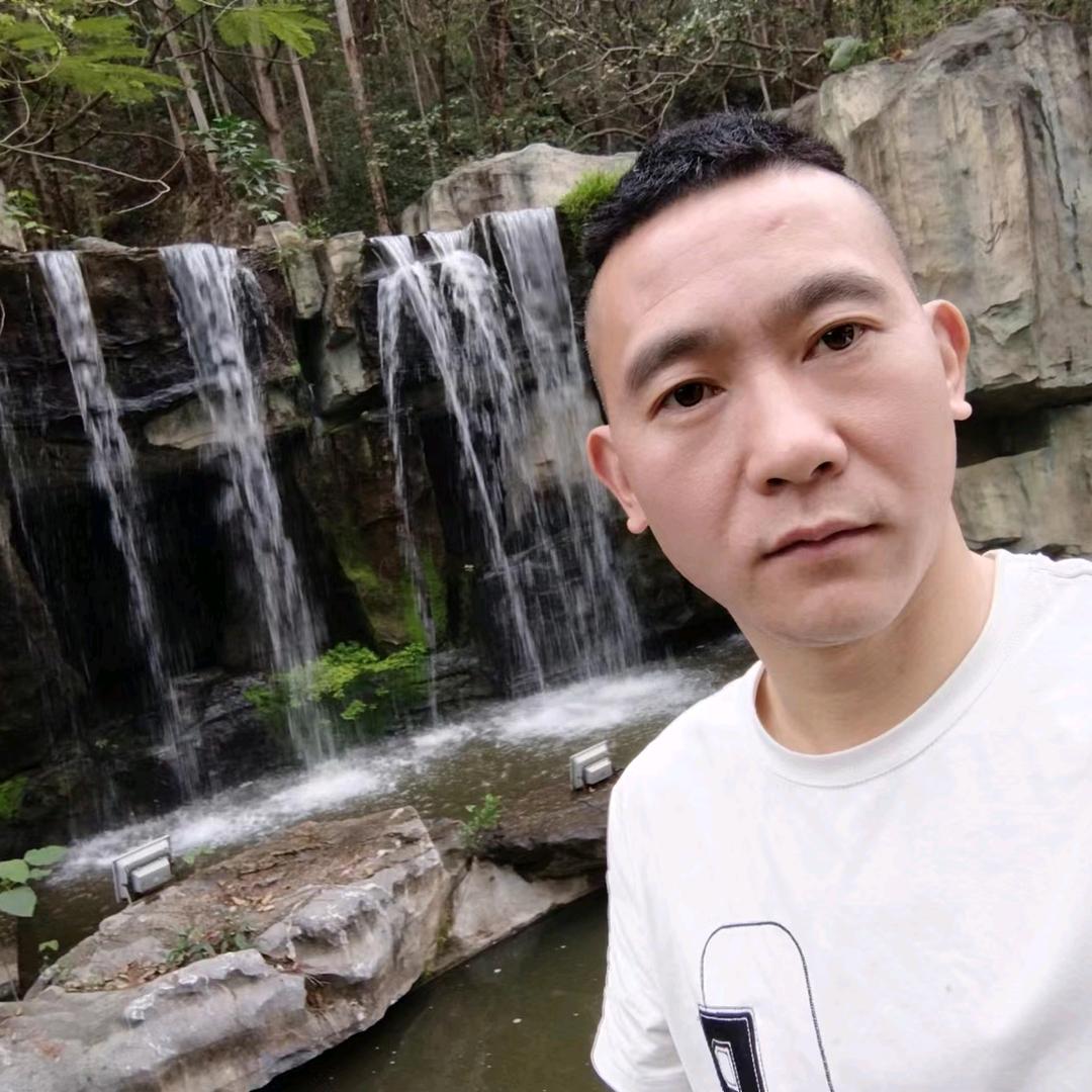 随意而安