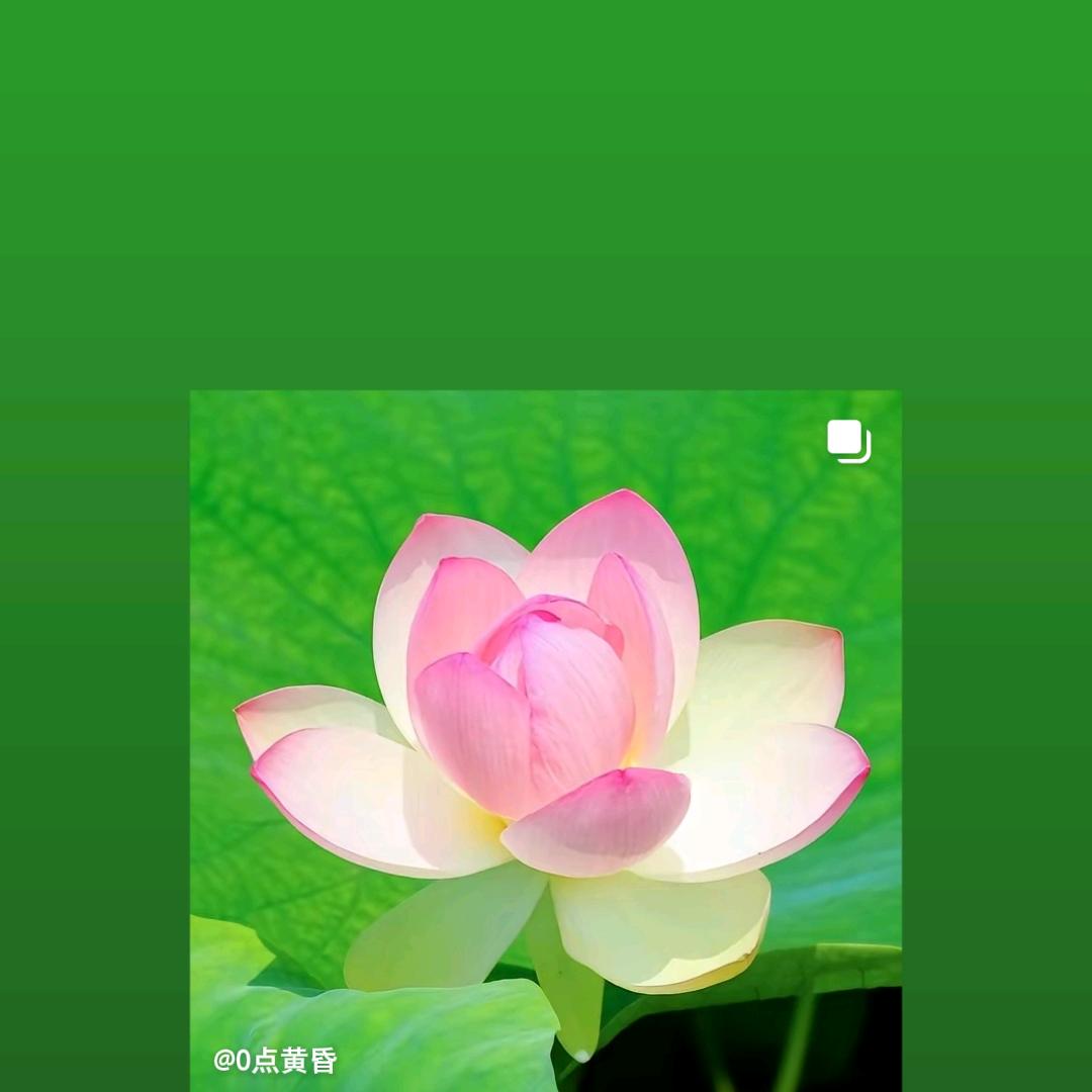 佛心