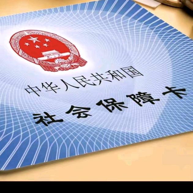 社保规划小小