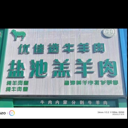 宁夏盐池羔羊批发零售