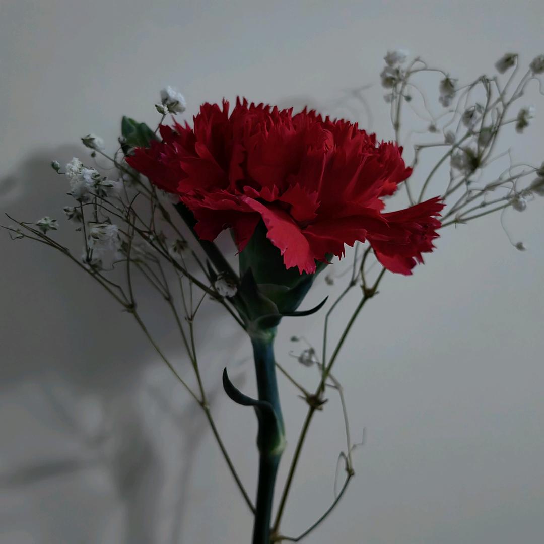 幸福余生🇨🇳