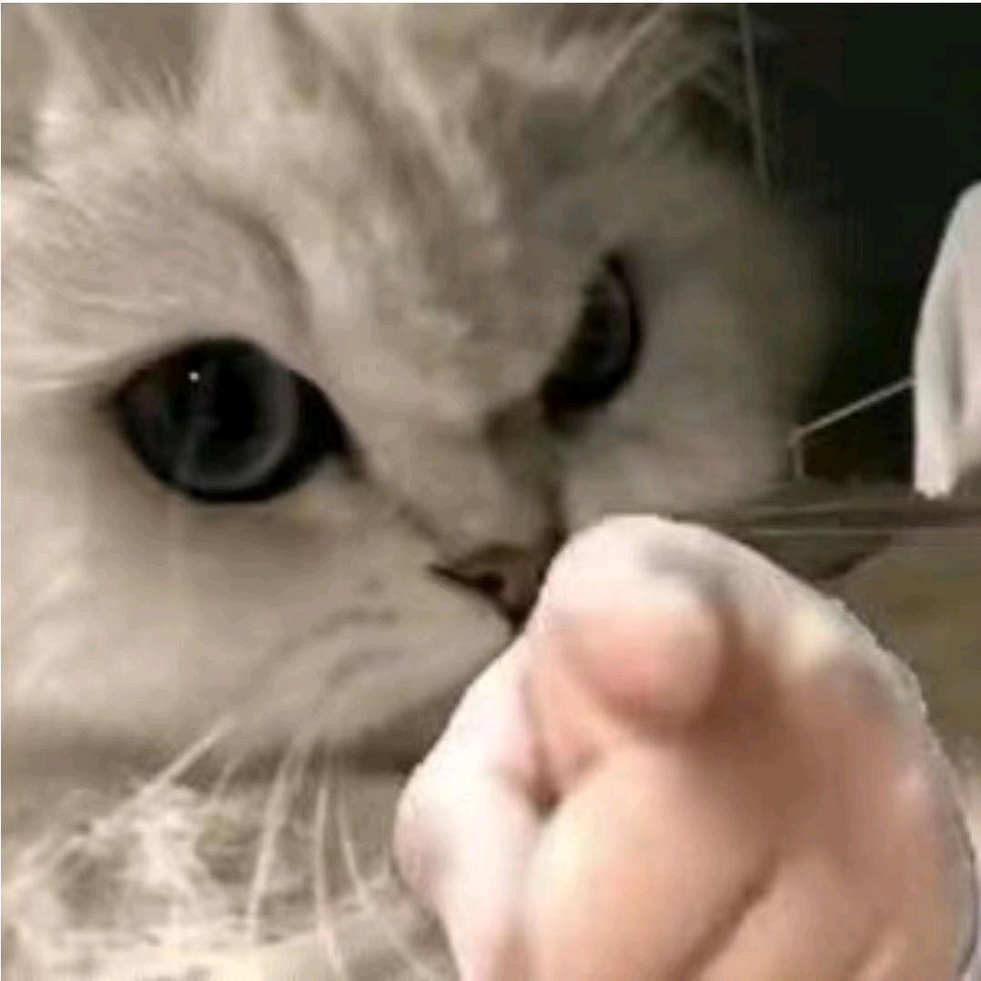 这个昵称已被用户使用