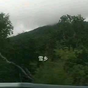 男，单身闯天涯合拍搞笑