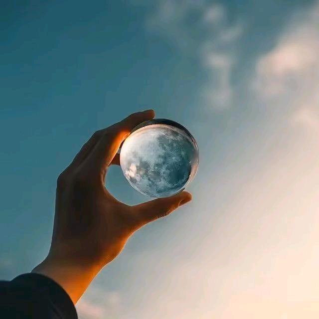 🐉自由人🐉