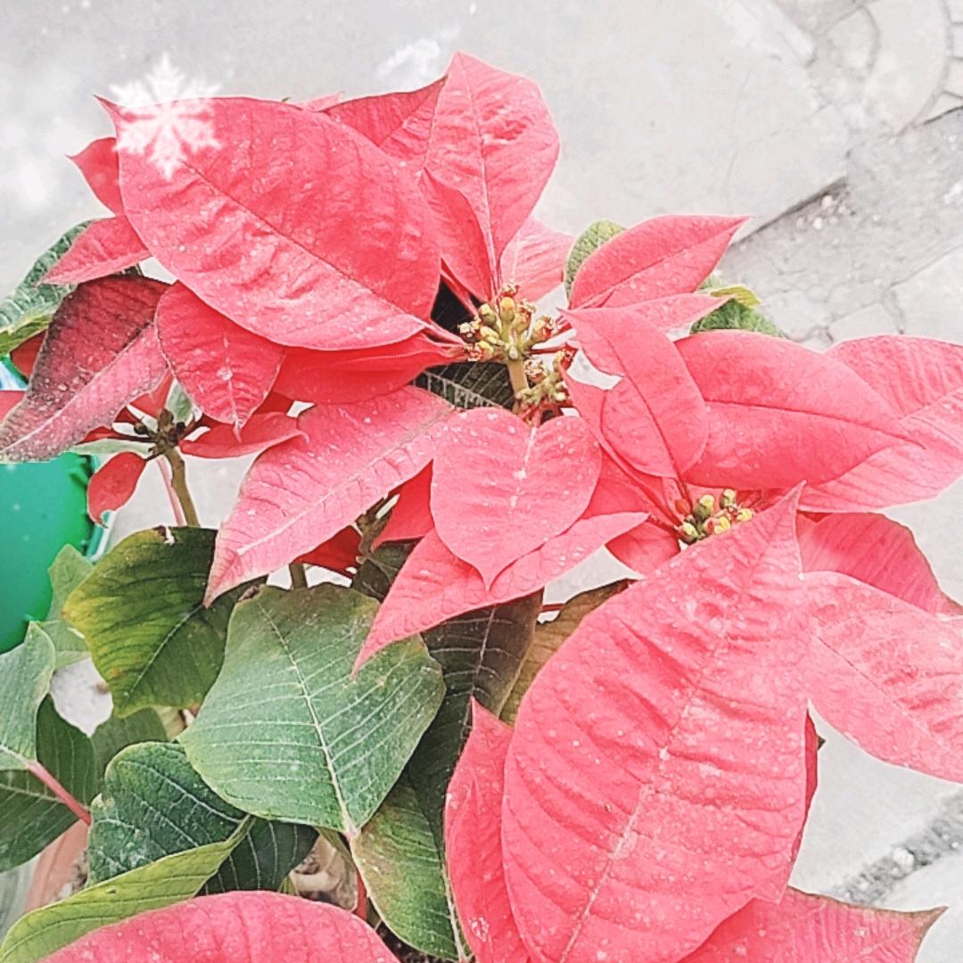 健康平安是福