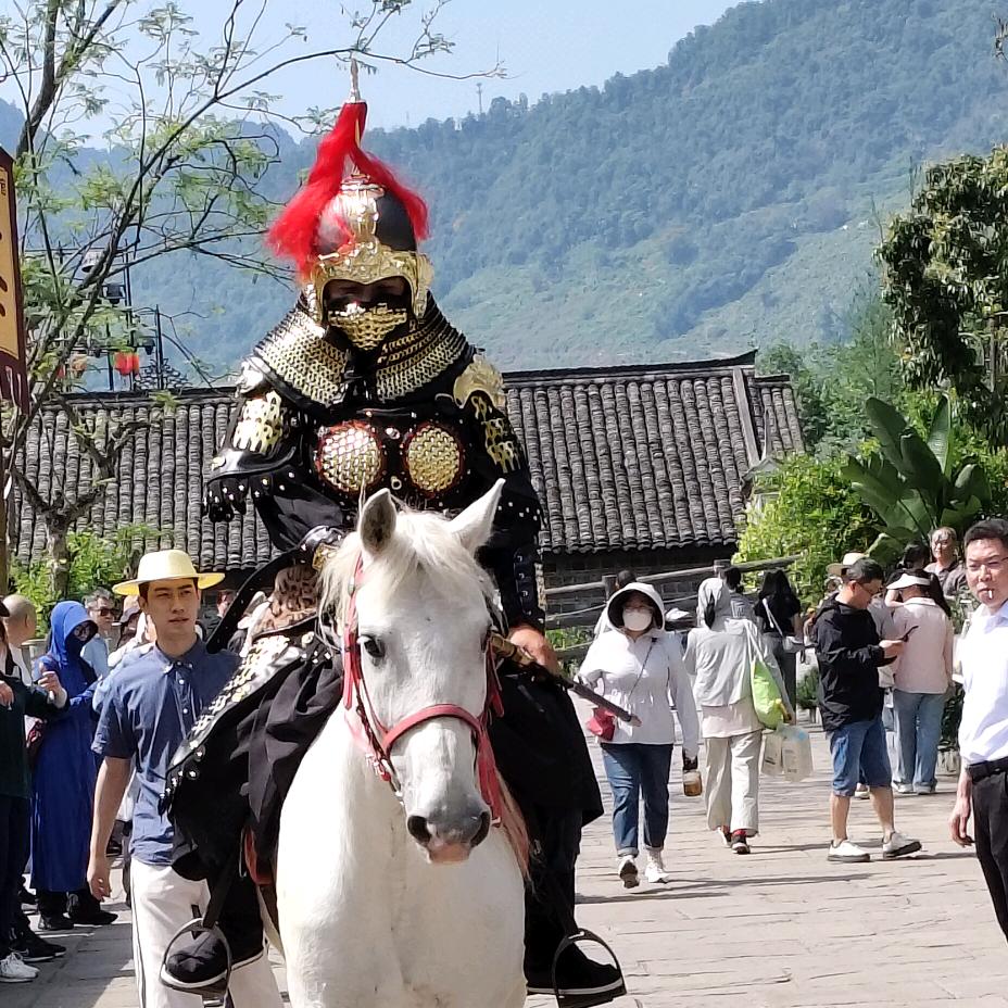老同志
