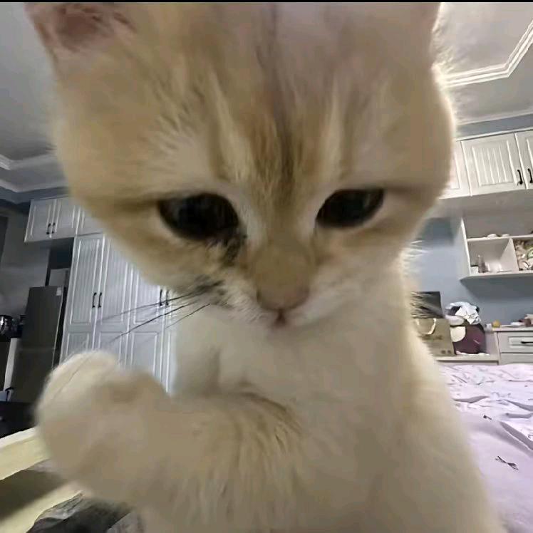 小yy