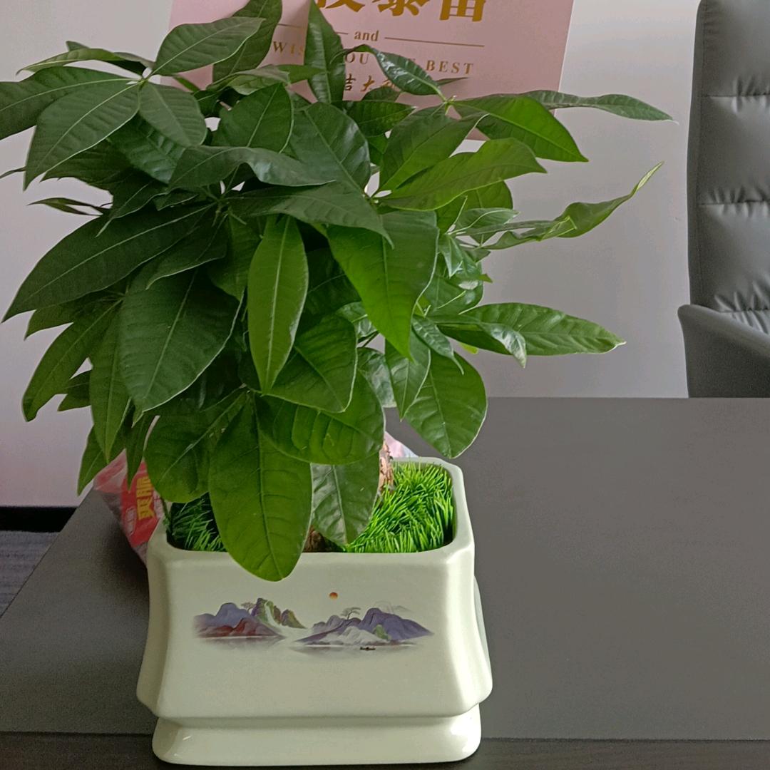 东方不亮