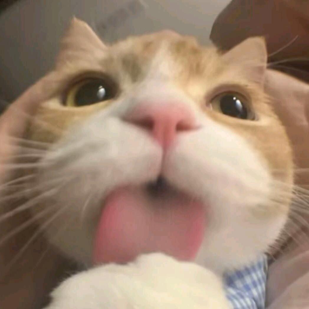 卖萌被肘击