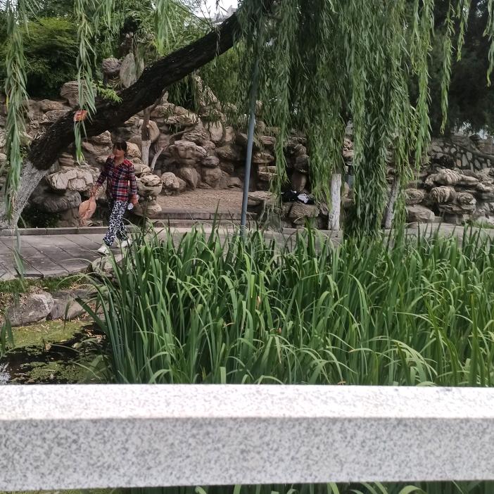 用户8308876240922