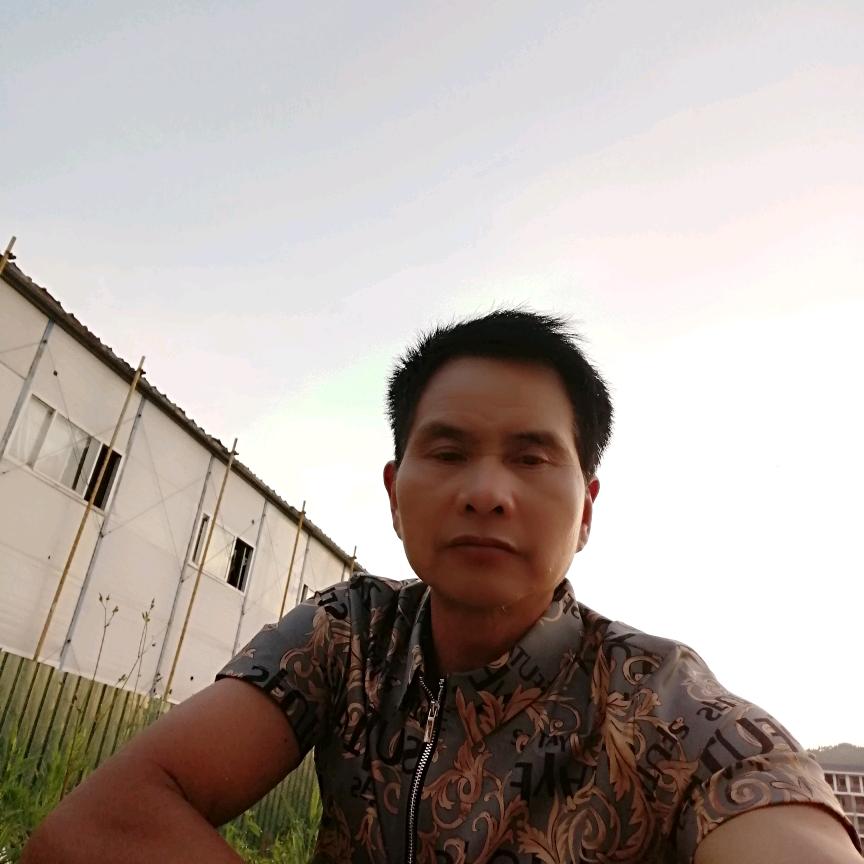 心在，爱在，问候在《罗金》