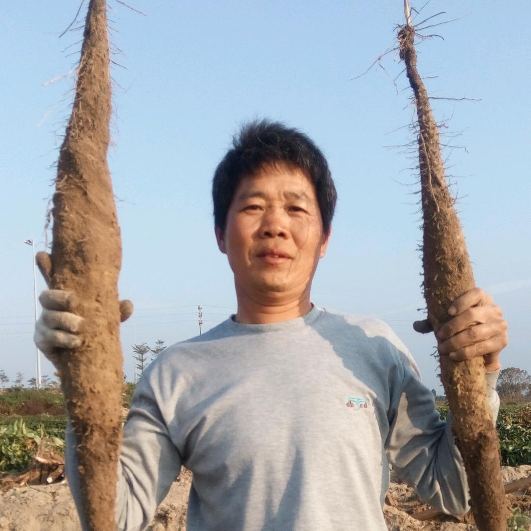 望子成龙望女成凤
