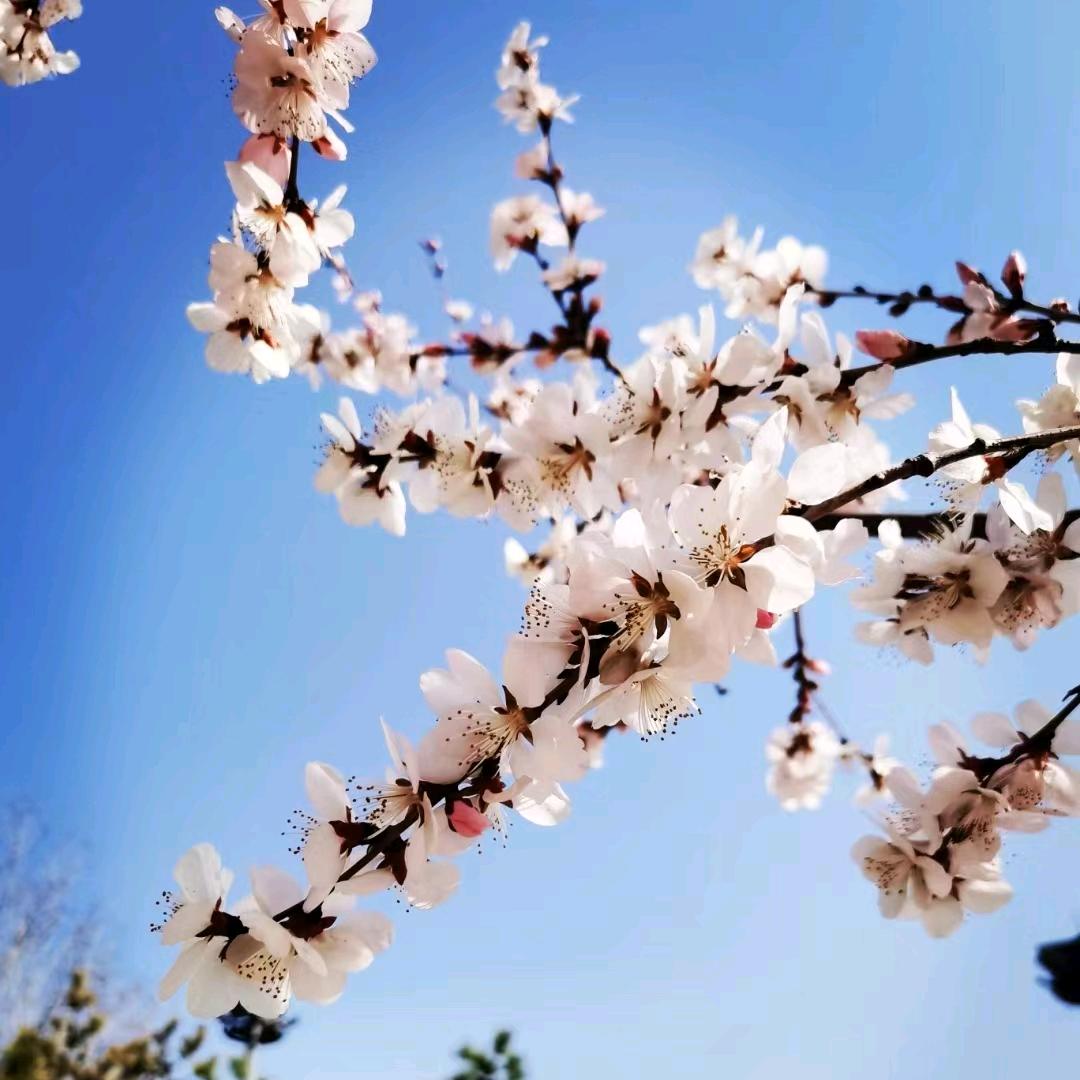 糖果🍬