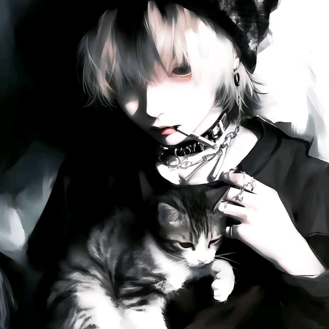暴躁兽医