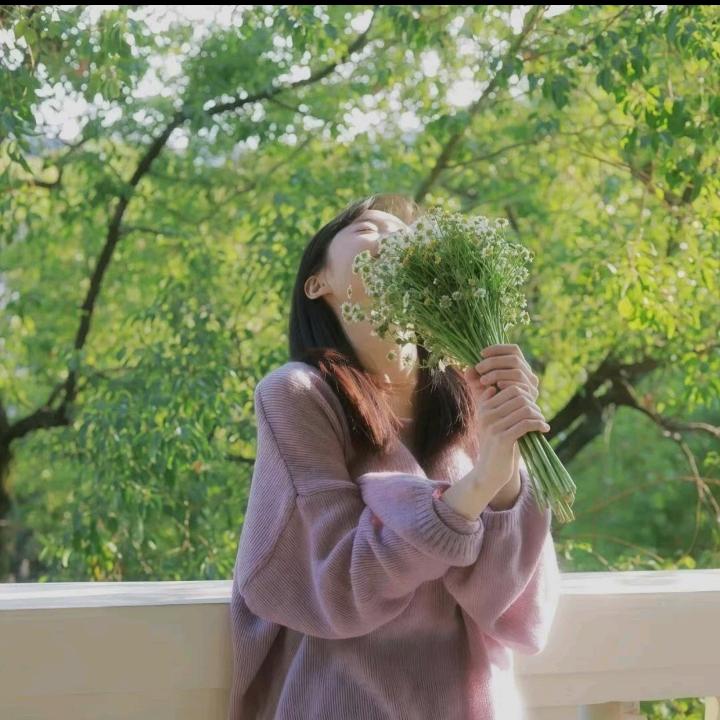 春风吃不饱