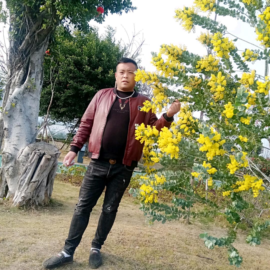 专业收割服务上门随叫随到