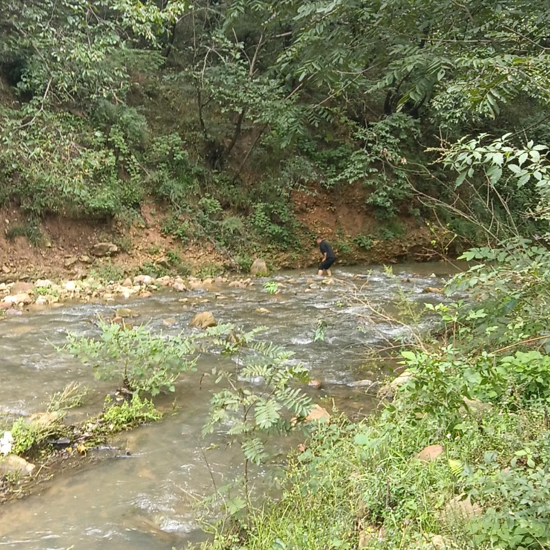 独闯江湖