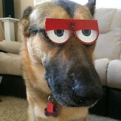 分享搞笑视频（）