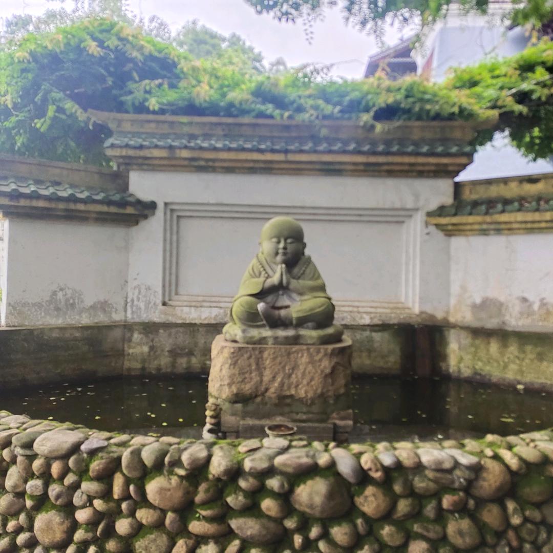 张盛源