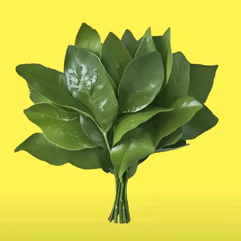 四季平安
