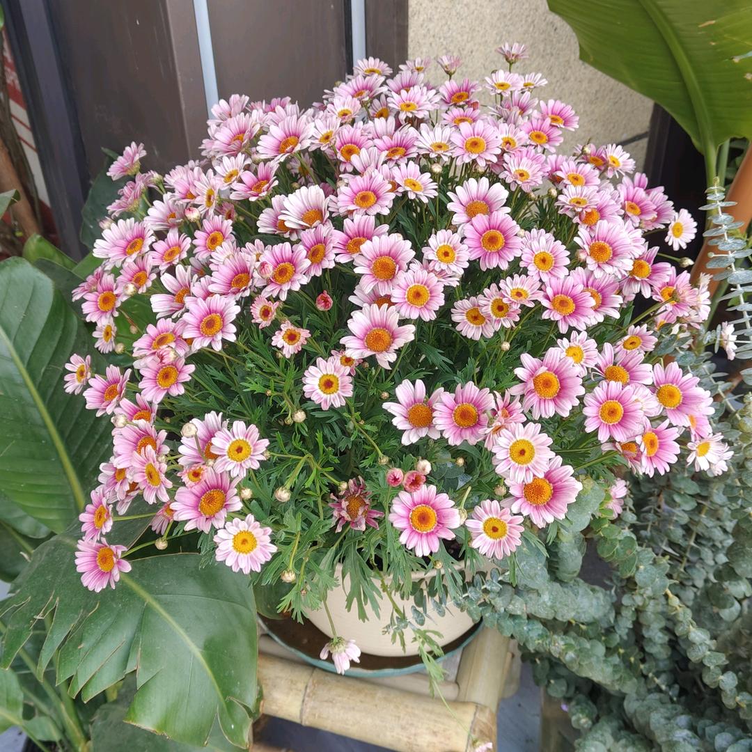 一束花工作室