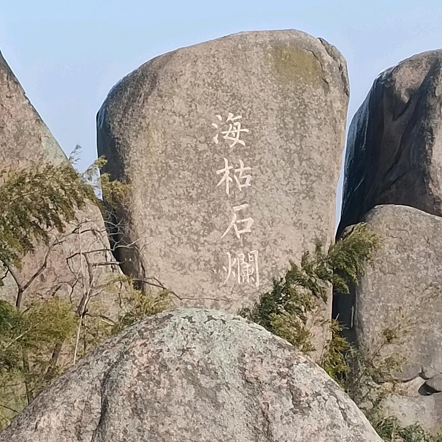 @家纹